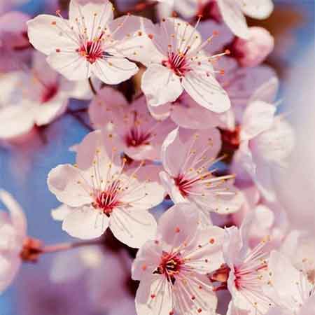 دانلود آهنگ بی وفا علی عظیمی